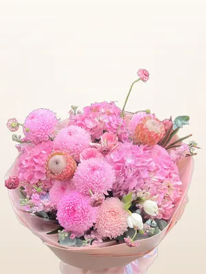 Bó Thược Dược Hồng