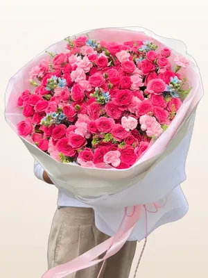 Bó Hồng Sen Khổng Lồ
