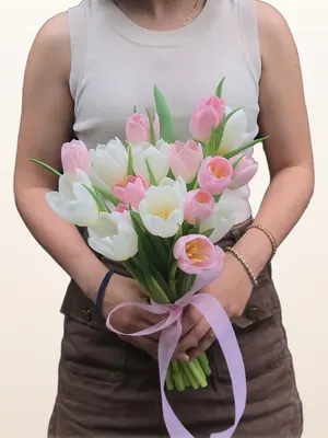 Bó Tulip Pastel Nơ Tím