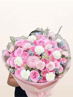 Bó Cẩm Chướng Hồng Trắng