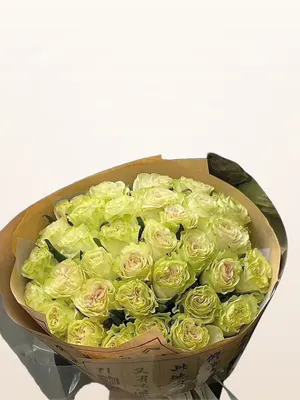 Bó Hồng Xanh Cốm 50 Bông