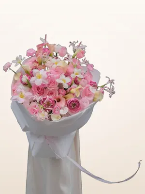Bó Hồng Phấn Lan Hồng
