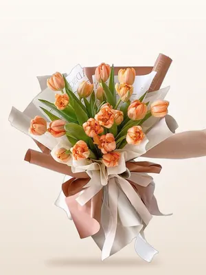 Bó Tulip Cam Đào