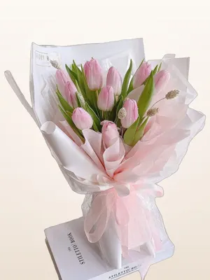 Bó Tulip Hồng Thanh Lịch