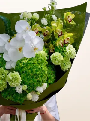Bó Lan Trắng Cẩm Tú Xanh